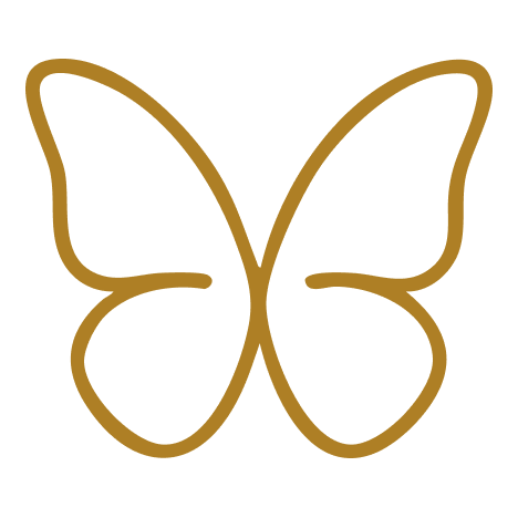 Butterfly icon